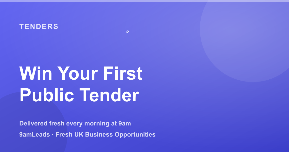 Public Sector Tenders for Small Businesses: How to Win Your First Contract