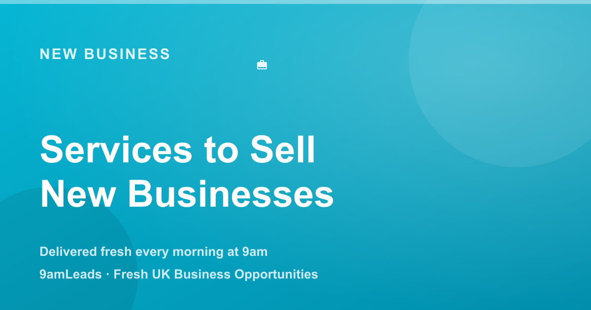 10 Services You Can Sell to New Business Leads (and How to Offer Them)